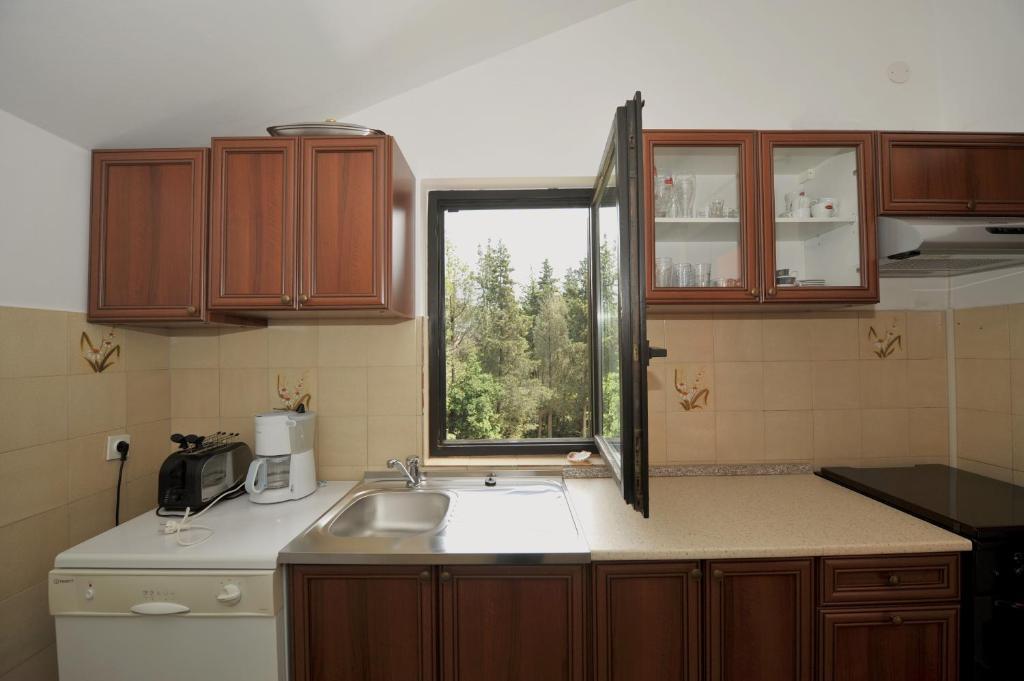 House Mitic Apartment Rovinj