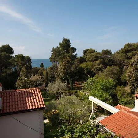 House Mitic Apartment Rovinj Room photo