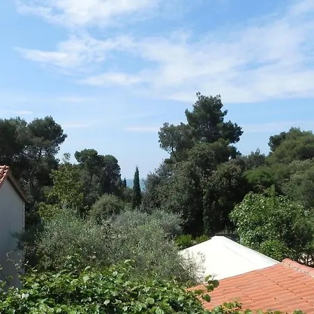 House Mitic Apartment Rovinj Room photo